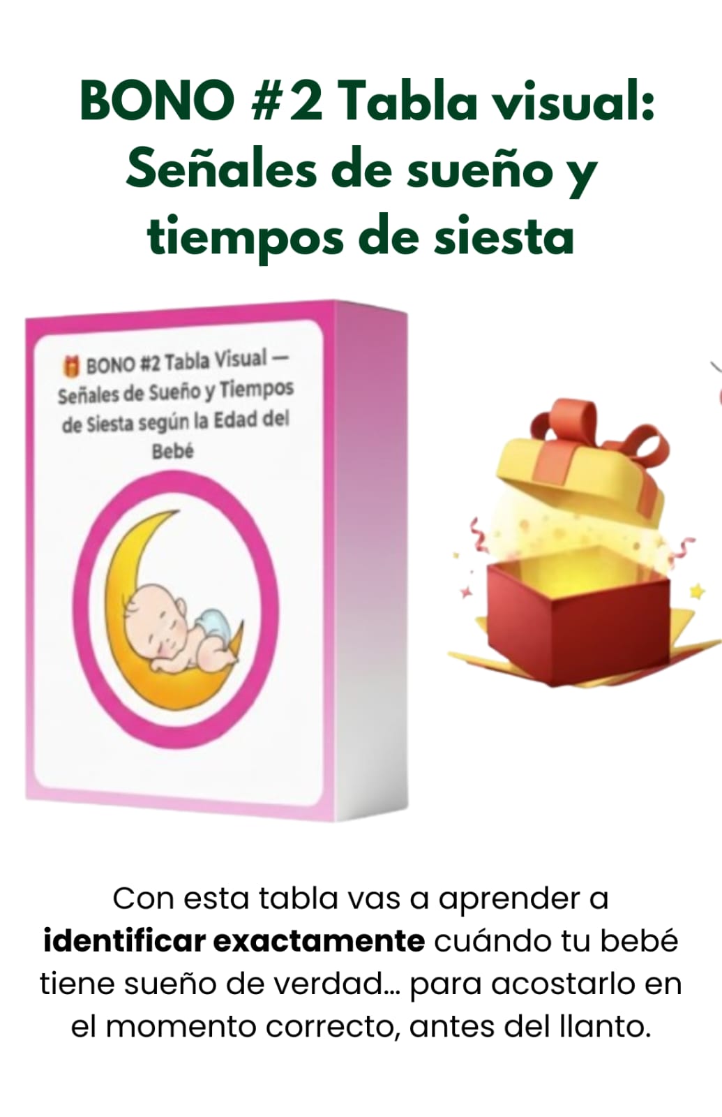 WhatsApp Image 2026-03-26 at 12.09.49 PM